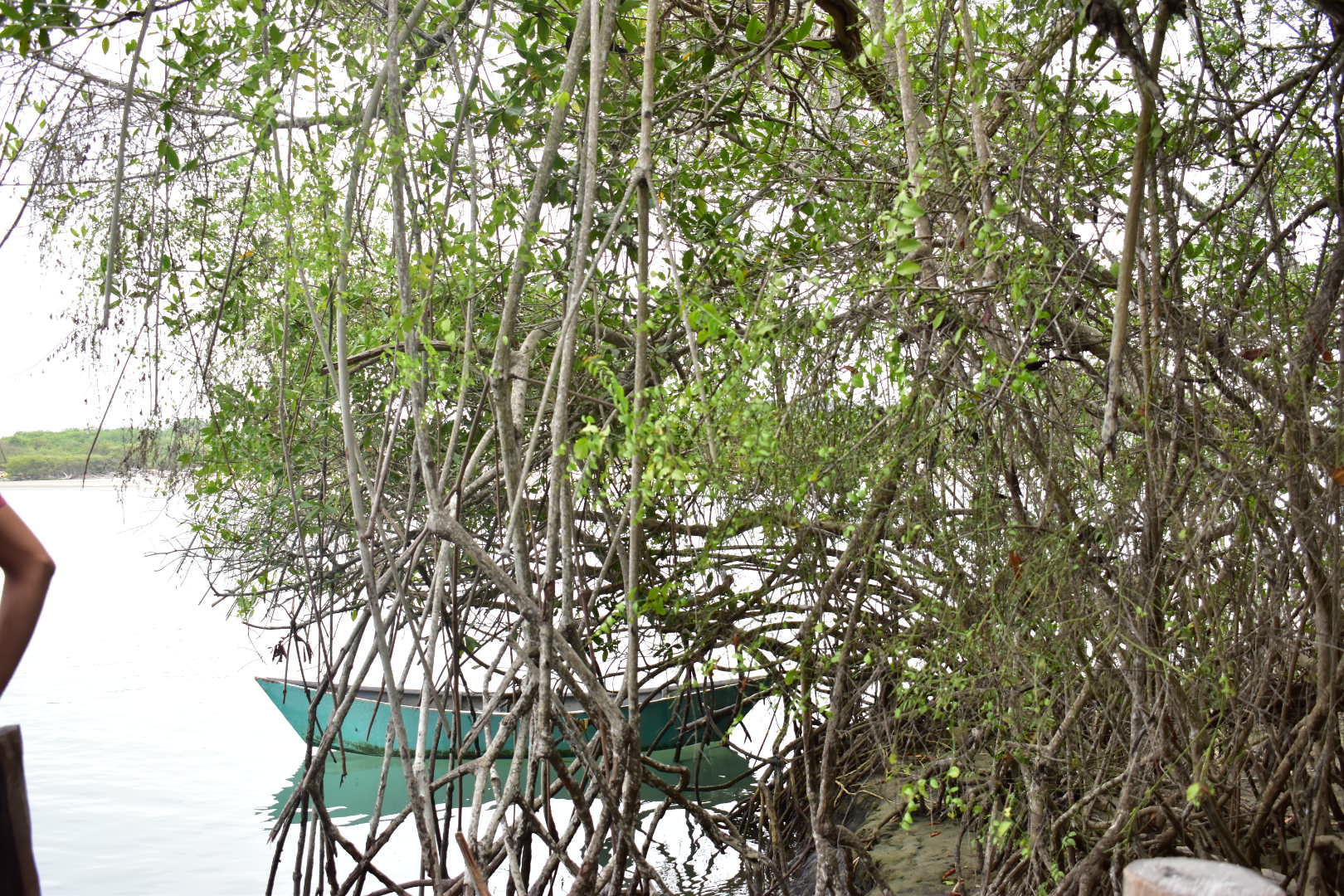 MANABÍ | La Boca, un amor a primera vista entre el mar y la naturaleza