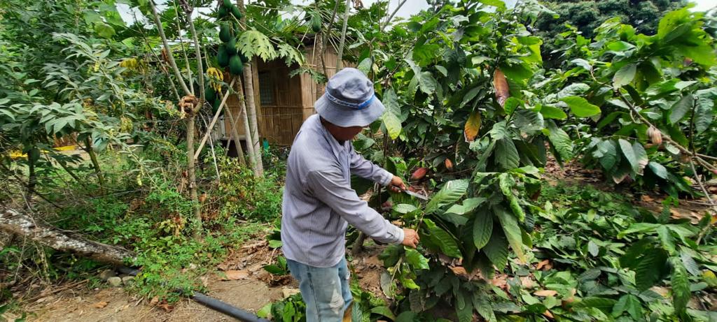 PORTOVIEJO | Escasez de sistemas de riego es una problemática  en la parroquia Calderón